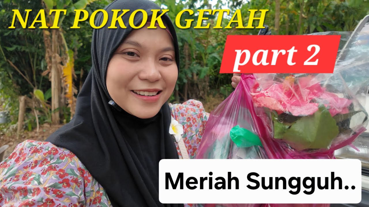 NAT POKOK GETAH PERLIS PART 2 l 2025 l RIUH SUNGGUH LA DEPA NI.