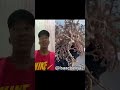 Extraña Especie👀😱 #viralvideo #tending #especies #nueva