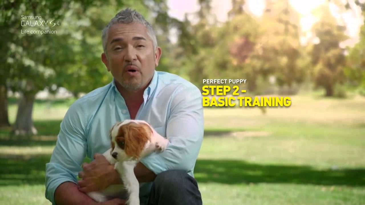 Cesar Millan doggy tips with GALAXY S4 Perfect puppy YouTube
