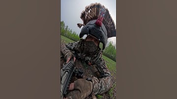 CRAZY TURKEY HUNT!