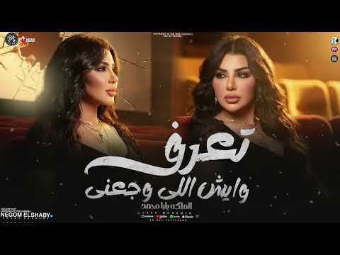 موال تعرف وايش وجعنى هو انا مالي ومال الناس يارا محمد 2026 ترند التيك توك شعبي جديد 2026