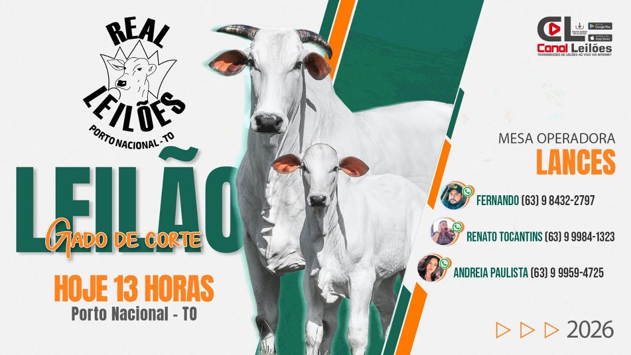 Canalleiloes.com | 1° LEILÃO DO ANO GADO DE CORTE REAL LEILÕES - 06/01/2026