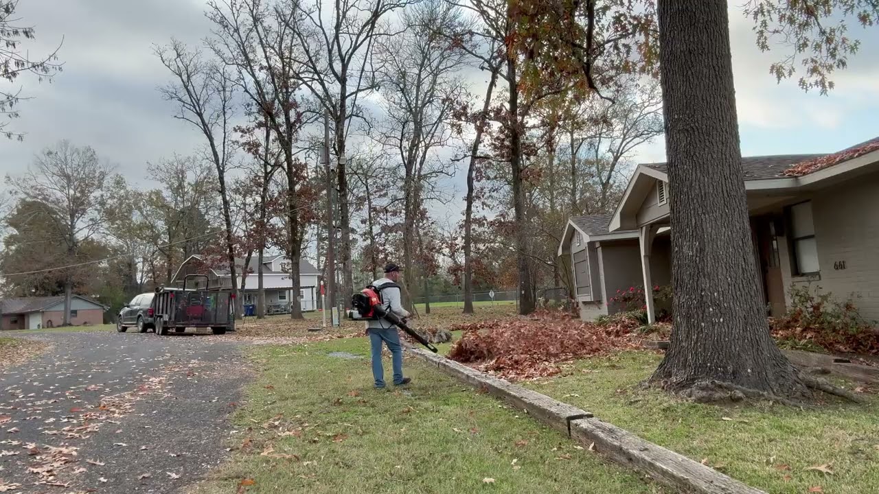 Big yard leaf clean up and mow