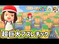 【あつ森#65】TVで紹介された超巨大アスレチックな島に夢見で島訪問❤あつまれどうぶつの森❤ゆっきーGAMEわーるど❤AnimalCrossingNewHorizons