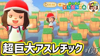 あつまれどうぶつの森 Animal Crossing #65] A dream visit to the gigantic athletic island