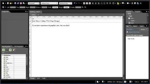 Video Explanation of the Chapter 1 Expression Web Assignment
