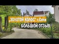 Золотой Колос - СОЧИ, честный отзыв