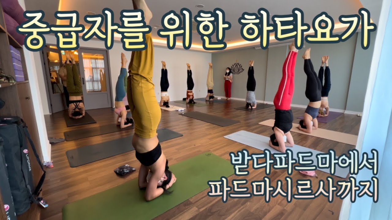[엔젤요가] 중급자를 위한 하타요가 | 받다파드마 | 파드마시르사 | 혈액순환 | 전신순환 | 어깨풀고 상체근력강화