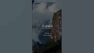 تأمل قدرة الخالق في بديع صنعه سبحانه😴…#سبحان_الله #تلاوة من #سورة_الأنعام #قرآن #quran
