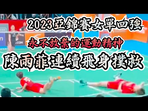 戴氏風采 2023亞錦賽女單四強陳雨菲奮戰到最後一刻連續飛撲贏得現場掌聲👏｜An seyoung vs Chen Yufei