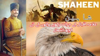 Allama Iqbal poem courageous people عالامہ اقبال کی شاعری جرآتمند لوگوں کے لئے