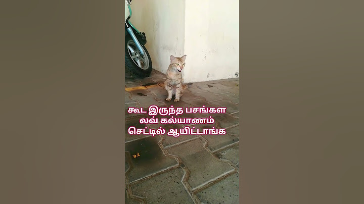ஓனரை பார்த்த உடனே தான் புத்தி இப்படி எல்லாம் யோசி