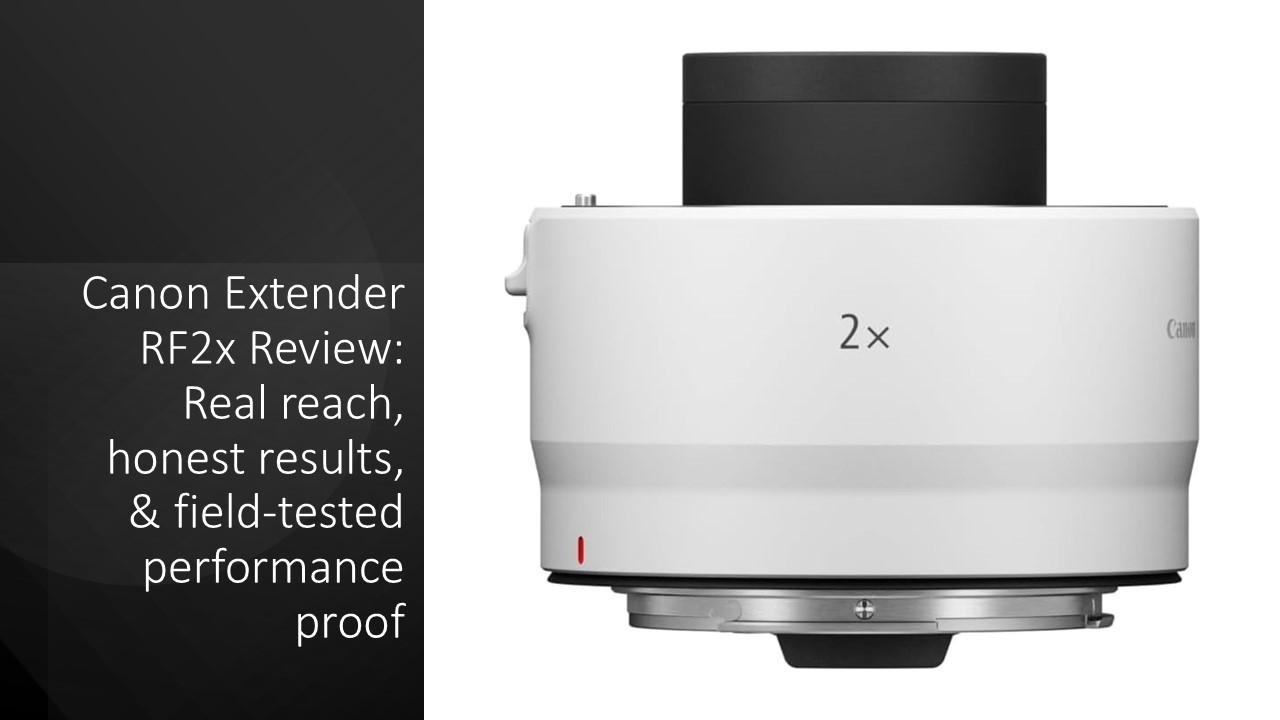 Canon Extender RF2x Review: Real reach, honest results, & field