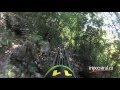 Tripcentralca bobsleds through the jamaican forest