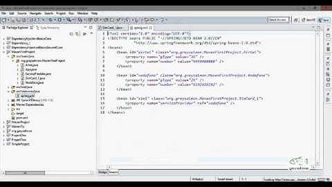 Spring Tutorial   8 Injecting Collection List  Using Setter Method