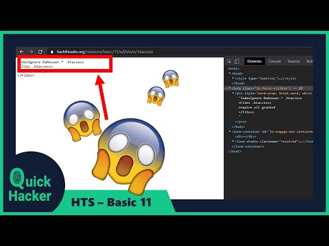 #12 🔥HTS Basic mission - 11. ✨Find Hidden directories in the Apache server