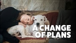 From bocce to the emergency vet. unexpected dog health issues while
full-time rving