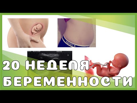 20 неделя беременности: изменения у мамы и малыша, выделения, секс, ощущения, рекомендации