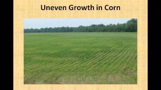 Eastern MO Agronomy Update