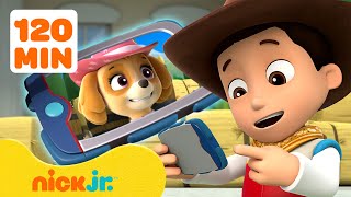 Ryder roept de pups van de PAW Patrol naar de Uitkijktoren! | Nick Jr. Nederlands