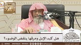  هل كبد الإبل ومرقها ينقض الوضوء صالح الفوزان