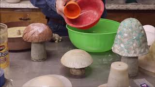 Magic Mushrooms
