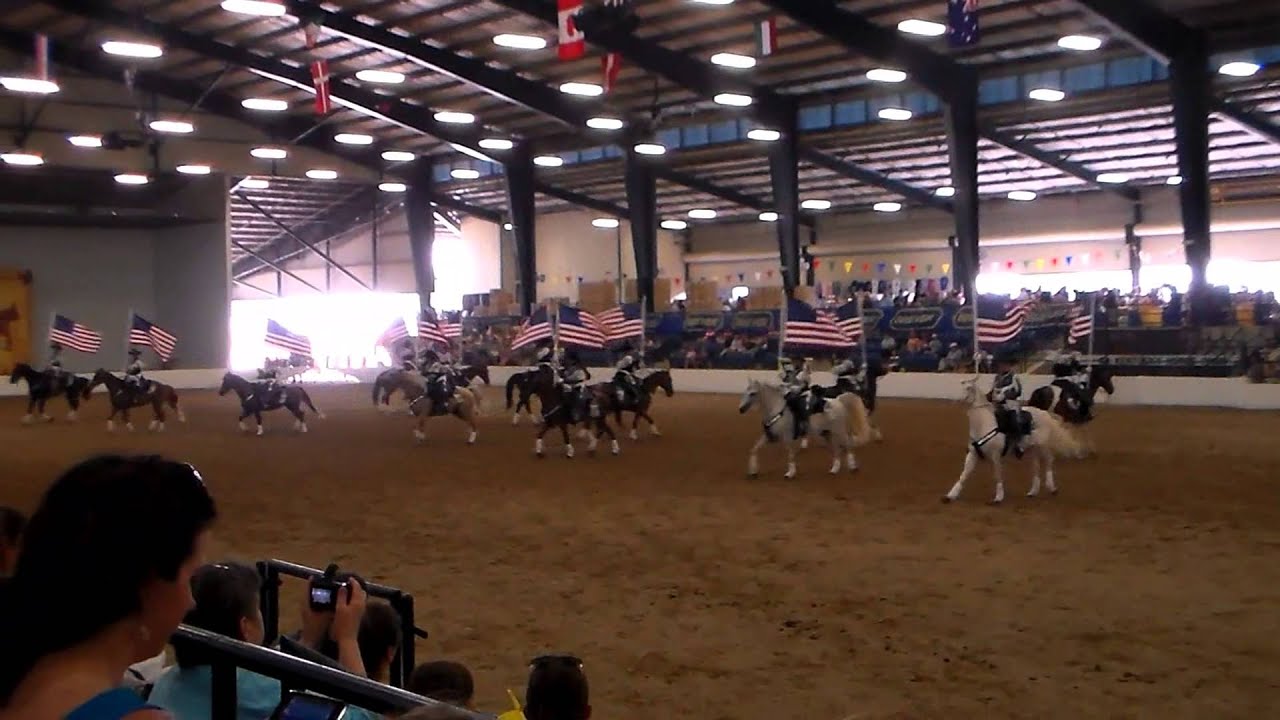 My Breyerfest 2013 Experience Part 3! Horse Acts and Around the Park