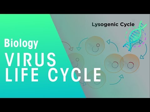 Virus Life Cycle | Health | Biology | FuseSchool