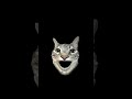 #Cat meme￼