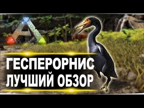 Видео: Гесперорнис Hesperornis в АРК  Лучший обзор приручение, разведение и способности  в ark