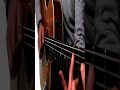 #flamenco #loop #solo #flamenco #chords #speed #pick #muted #spanish
