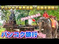 【タイ・バンコク旅行】アユタヤで世界遺産を満喫！ゾウ乗り・餌あげ体験最高に楽しい！