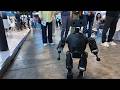 Hi Talk Robotics Minipai &amp; Minipai Plus Humanoid Robots