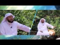 جمال الروح الحلقة السابعة عشر