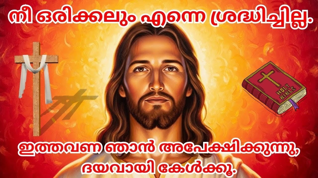 നീ ഒരിക്കലും എന്നെ ശ്രദ്ധിച്ചില്ല.ഇത് അവസാന മുന്നറിയിപ്പാണ്.#biblestudymalayalam #biblestudy #jesus