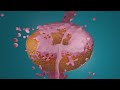 DONUT - Blender Animation