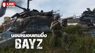 BayZ นอนหมอบเกมมิ่ง