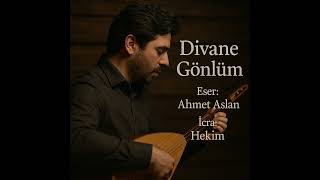 Ahmet Aslan Divane Gönlüm Benim (İcra: Hekim) Resimi