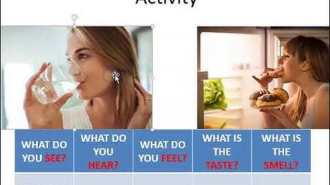 GRADE 4 SKILLS HANDBOOK LESSON 1 WHAT DO QUESTIONS SCIENTISTS ASK PART 2