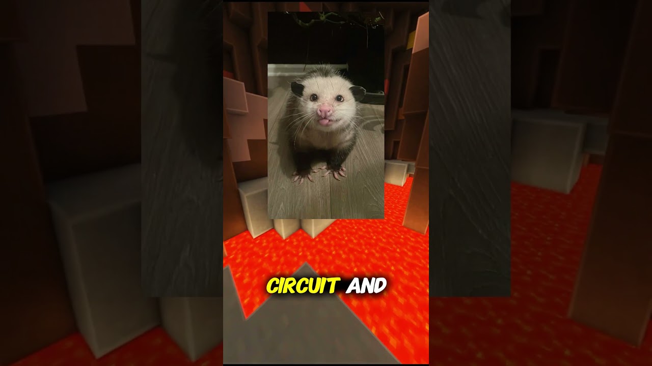 A Mysterious Power Outage...