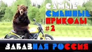 ПРИКОЛЫ ИЗ РОССИИ #2 Медведь на мотоцикле, сосиски в автобусе, переплыл через дорогу и др... ПРИКОЛЫ ИЗ РОССИИ #2 Медведь на мотоцикле, сосиски в автобусе, переплыл через дорогу и др...