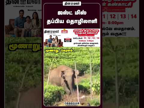 ஜஸ்ட் மிஸ் தப்பிய தொழிலாளி #Keralam #Elephant