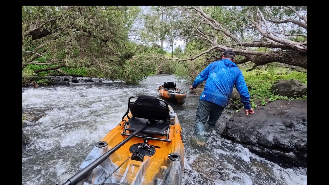 Bass fishing (Albert river)