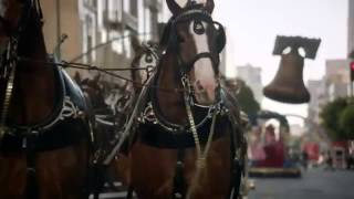 Budweiser Super Bowl Ad 2013 - The Clydesdales Brotherhood