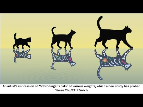 Video: Mis oli Schrödingeri eksperiment?