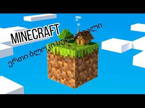 minecraft ერთი ბლოკი სურვაივალი Part 1