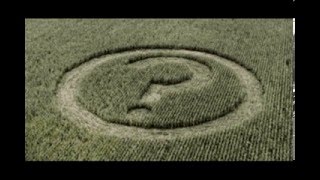 GMO PSA
