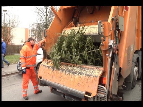 Blumentopferde aus alten Weihnachtsbäumen