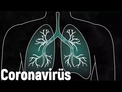 Coronavirüs Belirtileri Nelerdir? Gün Gün Hastalık Süreci