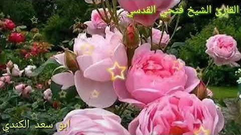 القارئ الشيخ فتحي القدسي